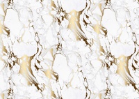 Столешница №113гл мрамор золотой 26мм