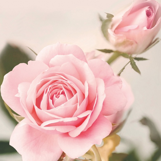 Стеновая панель M 01