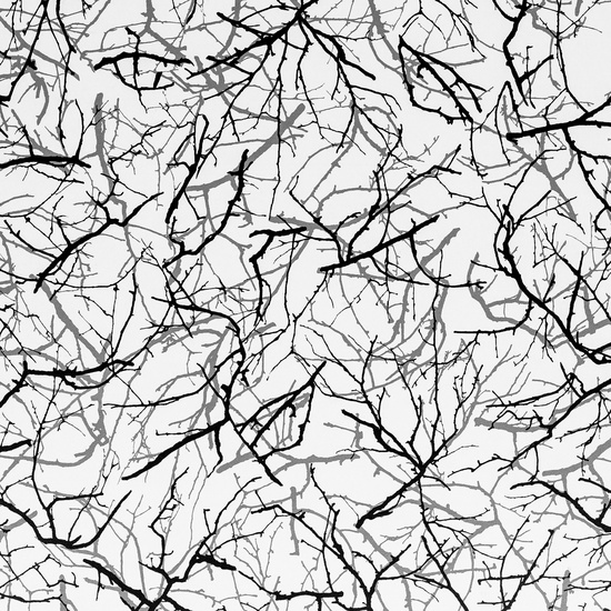 Столешница №105 зимние ветви влагостойкая 38мм