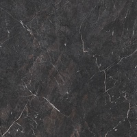 № 219 HPL 4мм (HPL, black, 3050,1320,4)