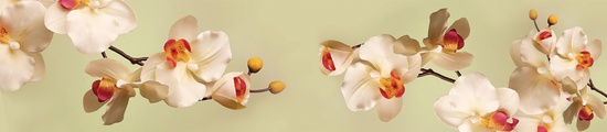 Стеновая панель МДФ SP 102