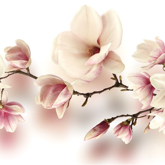 Стеновая панель МДФ ABF 03