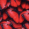 Стеновая панель МДФ SP 104